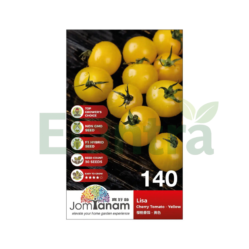 140 CHERRY TOMATO - YELLOW